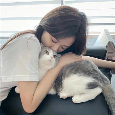 我的宝藏